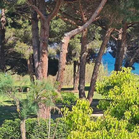 Joli Residentiel Et Piscine *