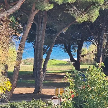 Lejlighed Joli Residentiel Et Piscine *